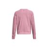 Under Armour Solid Color Sports Casual Training Fleece Pullover Sweatshirt Women Tops Pink 1379880-697