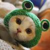 Кошачья шляпа для питомцев вязаная шляпа для косплея Хэллоуин Рождественская вечеринка костюм головной убор аксессуары для переодевания для щенка кошки котенка