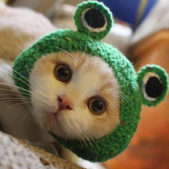 Кошачья шляпа для питомцев вязаная шляпа для косплея Хэллоуин Рождественская вечеринка костюм головной убор аксессуары для переодевания для щенка кошки котенка