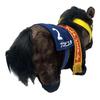 Thoroughbred Collection Fluffy Big Plush Toy Buena Vista 45cm Approx.