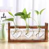 Bonsai  Heart Shape Home Decoration Wedding Vase Wooden Frame Glass Vase Hydroponic Plant Vase Vintage Flower Pot Table Desktop