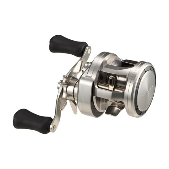 DAIWA Baitcasting Reel 26RYOGA SV 100