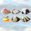 5 шт. Игрушка-брызгалка водой Сильная игрушка для игры в воде в форме ракушки Распылитель тумана Новинка Летний аксессуар для пляжной вечеринки