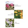 Крем для рук Jurlique Rose