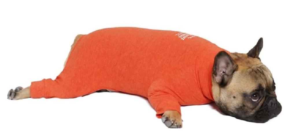 MANDARINE BROTHERS SKIN TIGHT UNIT Нижнее белье для собак (XXL, ОРАНЖЕВЫЙ)