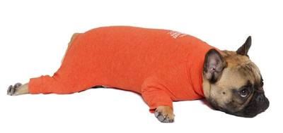 MANDARINE BROTHERS SKIN TIGHT UNIT Нижнее белье для собак (XXL, ОРАНЖЕВЫЙ)