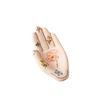 Mini Flora Hand Shape Home Office Storage Key Jewelry Accessory Holder Ceramic Ornaments Container Decoration