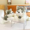 Cute Party Husky Doll Plush Toy Girl Bed Sleeping Doll Night Market Stall Doll