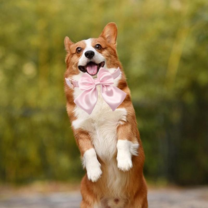 Ошейник для маленького питомца Тканый ошейник для ежедневных прогулок Мягкий и удобный с металлической пряжкой Элегантный ошейник-шейное украшение