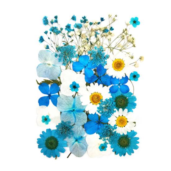 1 Set Dried Pressed Flowers Kit Colorful Natural Flowers DIY Art Crafts Supplies Resin Jewelry Epoxy Mold Candle Soap Vase Making Nail Card