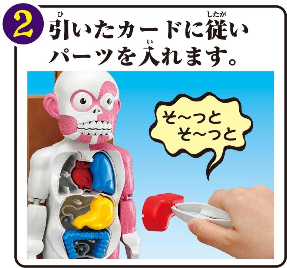 После школы История о привидениях Краш Модель тела человека Игрушка Награда 2014 Категория Коммуникационная игрушка Гранд Серия Ужасы! Захватывающий [Премия Японии]