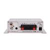 2-канальный HiFi Стерео Автомобильный Усилитель Мощности Цифровой Усилитель Серебристый