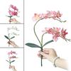 Artificial Butterfly Orchid Silk Flower Phalaenopsis Bouquet Home Wedding Decor