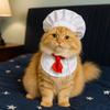 Cute Chef Hat Set Adjustable Cat Cosplay Hat Pet Accessories Pet Cooking King Hat  Pet Fashion Show