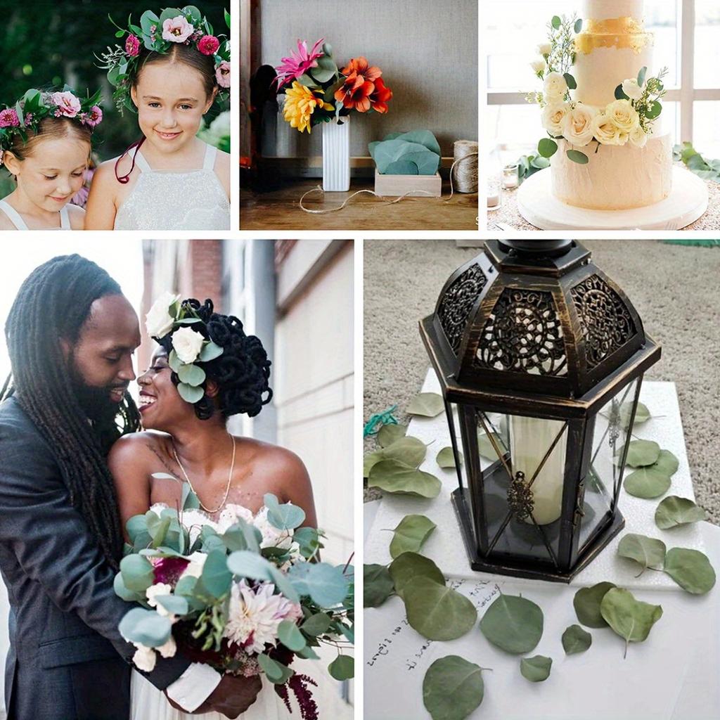 100 г сушеных настоящих листьев эвкалипта 100% натуральный серебряный доллар эвкалипт зеленые листья для свадебного венка своими руками украшение для детского душа торта(Около 200 шт.)