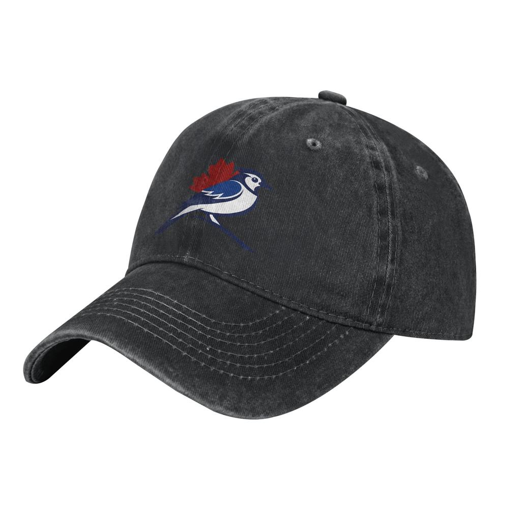 BlueJaysBird Бейсболки Повседневные Потертые Стиранные Snapback Кепка для Унисекс Женщин На Открытом Воздухе Все Сезоны Путешествия Регулируемые Кепки