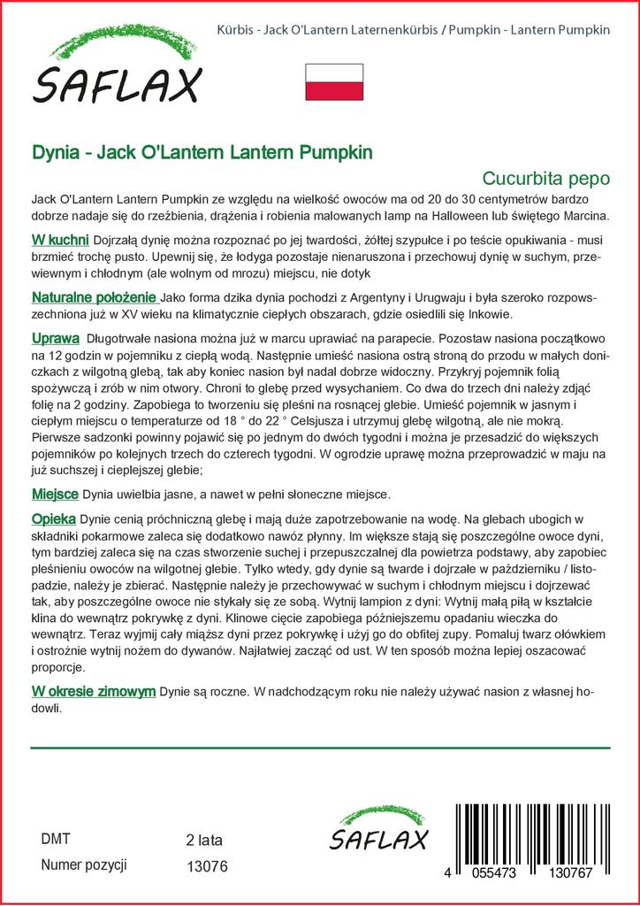 SAFLAX Тыква - Тыква-фонарь - 10 семян - Cucurbita pepo