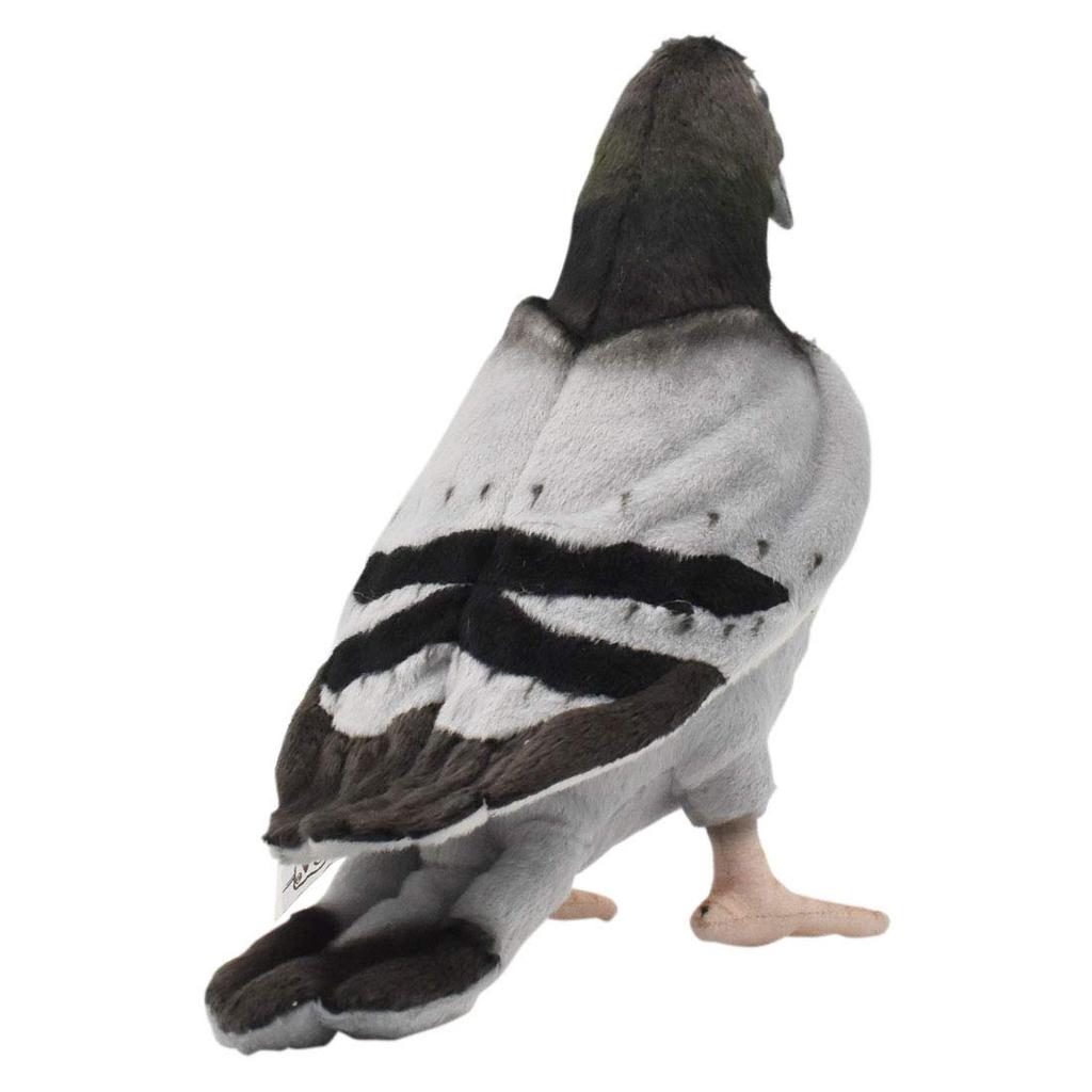 BH6299 HANSA Pigeon 29