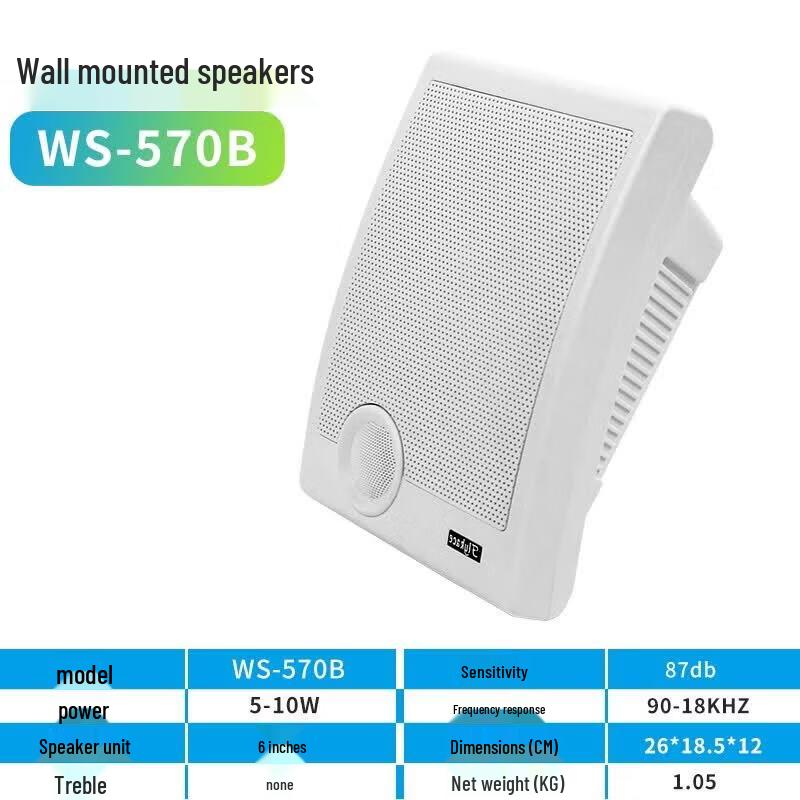 Flykace Wall-Mount Commercial Speaker (CN version)