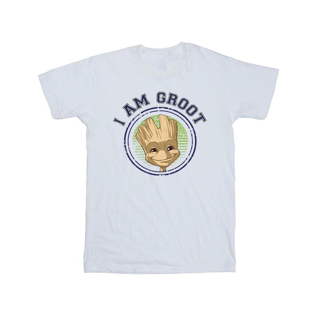 Guardians Of The Galaxy Mens Groot Varsity T-Shirt