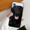 Black Labrador Dog For Realme 15 GT7 Pro GT6 10 11 12 13 14 Pro Plus C65 C67 C63 C61 C51 C53 C35 C75 C55 Case