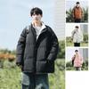 Lamb Wool Jacket Men's Autumn and Winter Stand-up Collar Cotton Clothes New Boys' Winter Clothes Piled Thickened Bread Cotton-padded Clothes