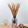 75 шт. Натуральный сушеный пампасовый тростник декор 17 дюймов для цветочных композиций свадьбы домашнего декора CDN