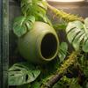 Wall Mounted Reptile Hideouts Suction Cup Climbing Habitat Terrarium Decoration  Gecko Habitat