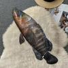 Имитация морской рыбы, плюшевая игрушка, скумбрия, щука, тунец, лосось, плюшевая кукла, спальная подушка, украшение для дома, дети, взрослые, подарок на день рождения, Рождественский подарок