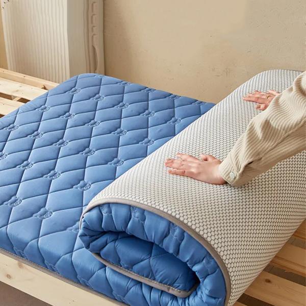 WTEMPO Solid Color Soft Pad Mattress Household Smoothy Foldable Mattress Non-deformable Bedding Student Dormitory Rental House Floor Thick Mats