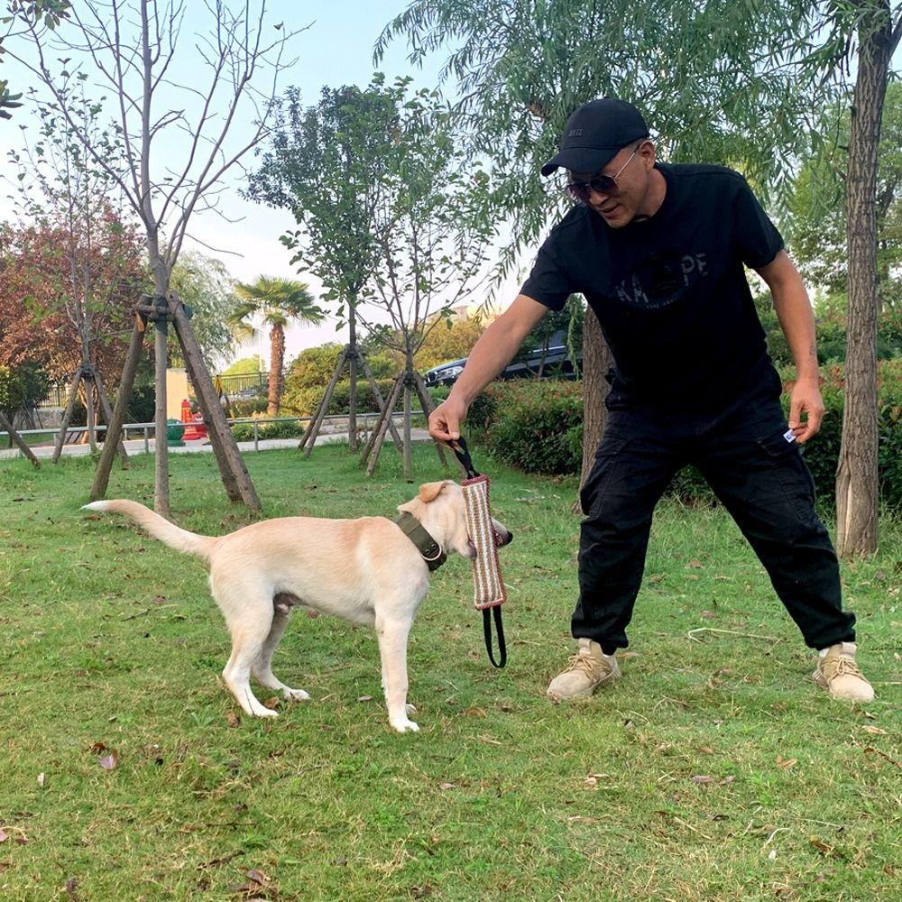 Puppy Chewing Bite-resistant Dog Bite Pillow Rope Handles Interactive Dog Tug Durable Pet Chew Sticks Teeth Grinding