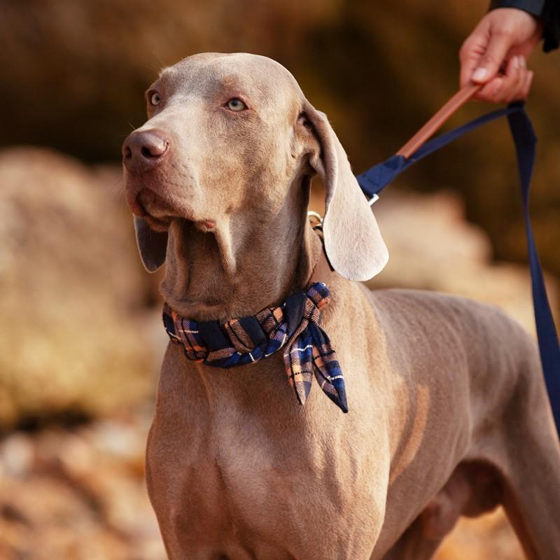 Dog Collar Leather Pet Medium Large Dogs Leash Set With Scarf Adjustable Sizes