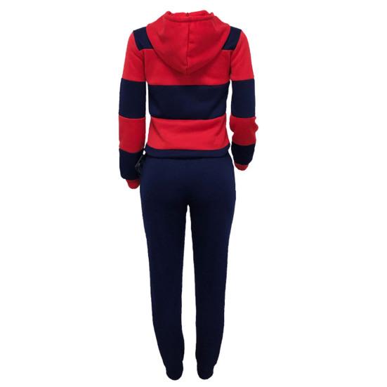 2 Pcs/Set Women Hoodie Pants Set Elastic Waist Striped Color Matching Hooded Long Sleeves Warm Drawstring Plus
