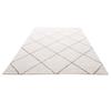 Indoor Plush Area Rugs, 2.44 x 3.05m Plush Carpet, Area Rugs Furry with Long Plushs Pile, Thick & Durable High-Pile Rug for High-Traffic Areas,