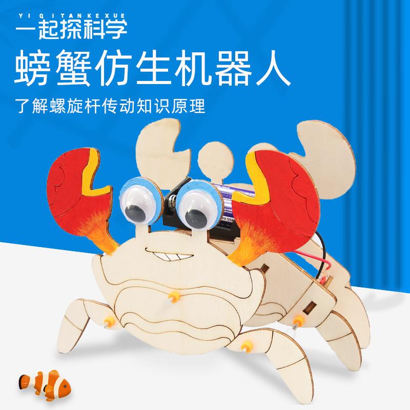 Научный эксперимент DIY Бионический механический краб Детские игрушки ручной работы Физические материалы Технология Мелкое производство