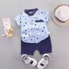 Summer Printed Pyramid Shirt Short Sleeved Shorts Set for Male and Female Infants and Young Children