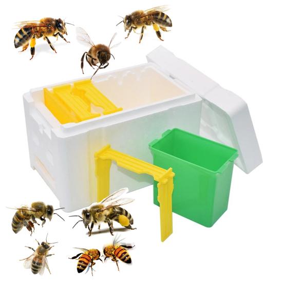 Queen Bee Mating Box Foam Queen Rearing Box Breeding Rearing Copulation Accessory Beekeeping Equipment for Beehive Bee Breeding