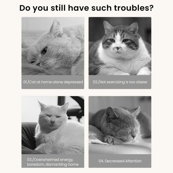 Cat Enrichment Maze Box Nail File Box with 4 Bell Balls Interactive Puzzle Toy Scratch Enrichment Box Improves Intelligence Reduces Boredom for