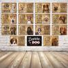 Metal Sign Poster Pet Dogs Home Without The Pomeranian Cute Cartoon Animals Bar Pub Decoration Wall Art Painting 20x30 CM