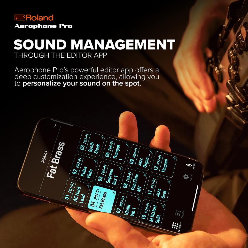 Цифровой духовой инструмент PRO Aerophone Roland/AEROPHONE AE-30