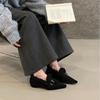 2025 Autumn and Winter Plush Shoes Women's Winter Pointed Head Inner Height Mary Jane Shoes Small Leather Shoes Loafers Women's Single Shoes Tide