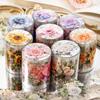 1Roll Meet The Sea of Flowers Series PET Tape Scrapbooking Decoration Journal Diary Stickers Stationery