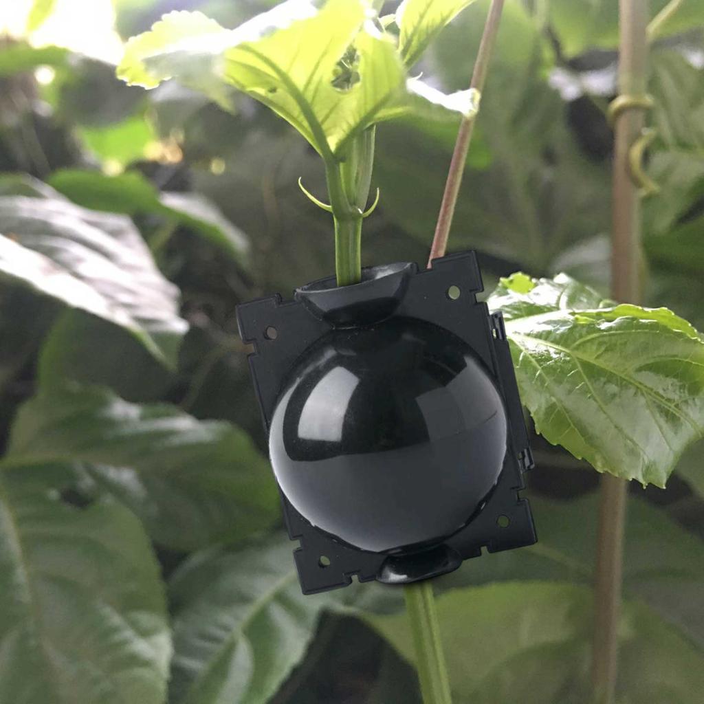 Plant Propagation High-pressure Box Cutting Grafting Rooting Box Garden Tree High-altitude Pressure Branch Rooting Propagator Ball Gardening