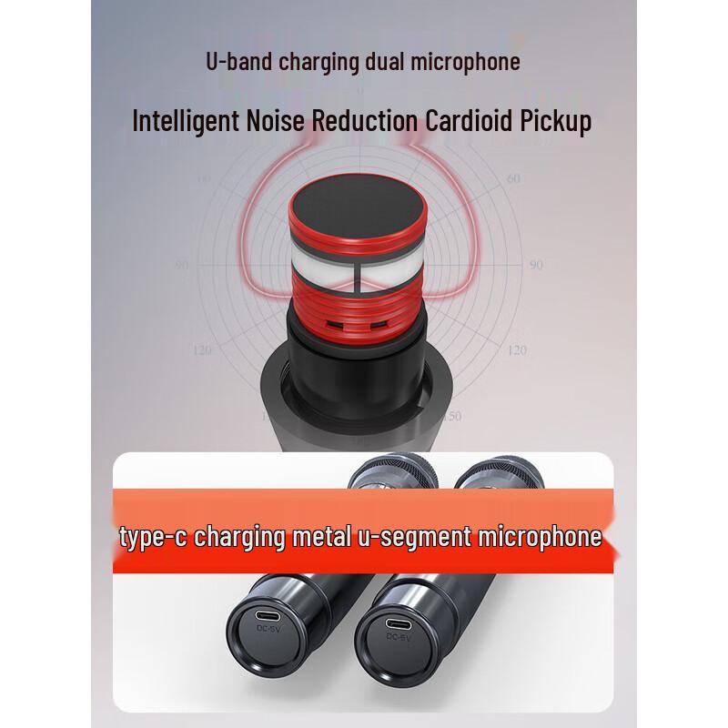 SANSUI K91 Portable Karaoke Speaker System