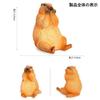 Oshhni 4-Piece Marmot Groundhog Figures, Realistic Animal Figures, Groundhog Model Toys, Birthday Gifts, Ornaments, Educational Toys for Kids, Hallowe
