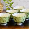 Стильная белая зернистая Kutani для роскошной японской столовой посуды, чайная чашка, посуда, чайная чашка, набор на 5 персон, железо, желто-зеленый, керамика, гости,