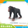 Source Simulation Animal Model Orangutan Mandrill 7 Chimpanzee Ghost Baboon Solid Static Ornament Toy