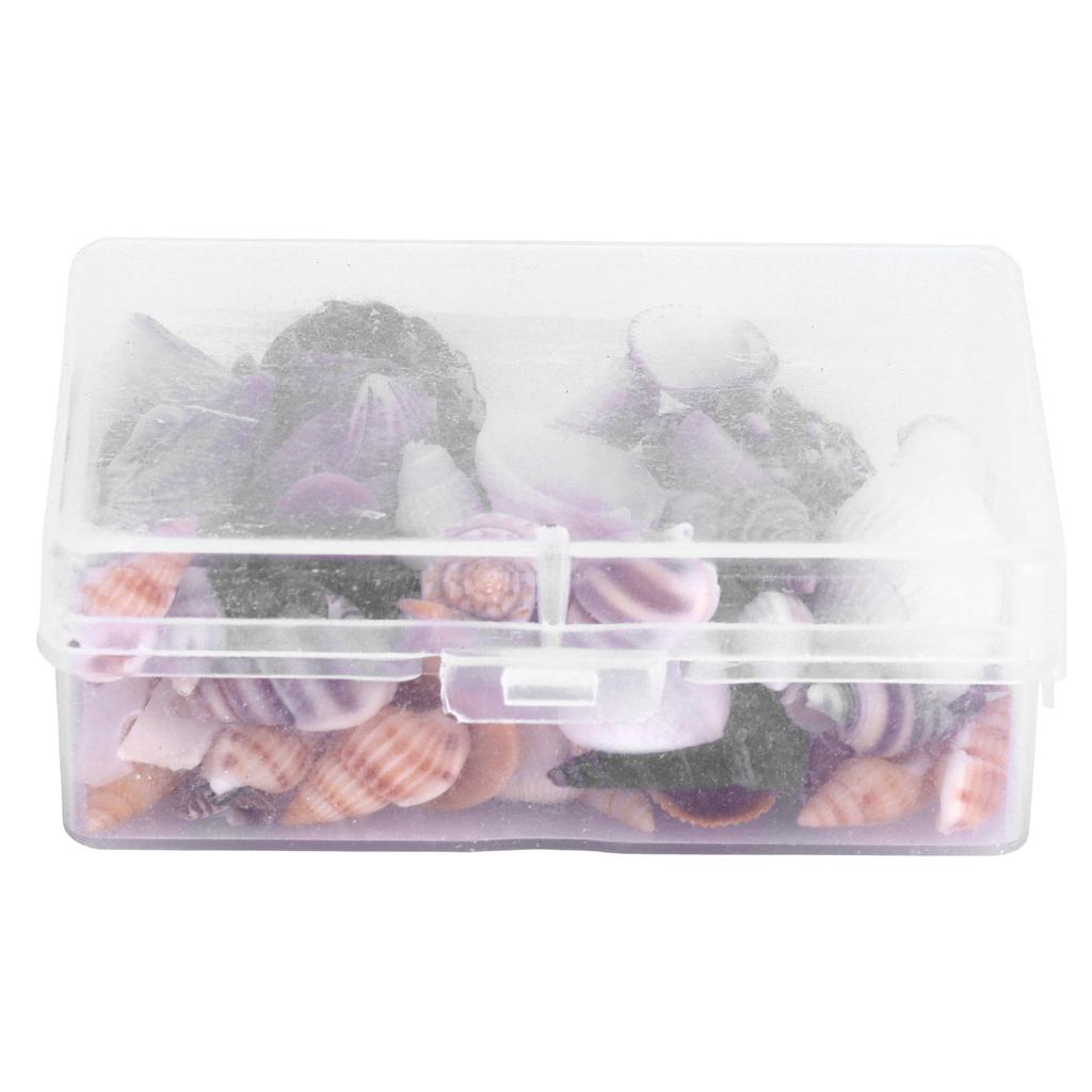 Jewelry Craft DIY Shell Sea Snail Set Natural Seashell Conch Wedding Home Decoration