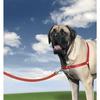 Harnais XL Easy Walk® - Rouge - Pour Chien