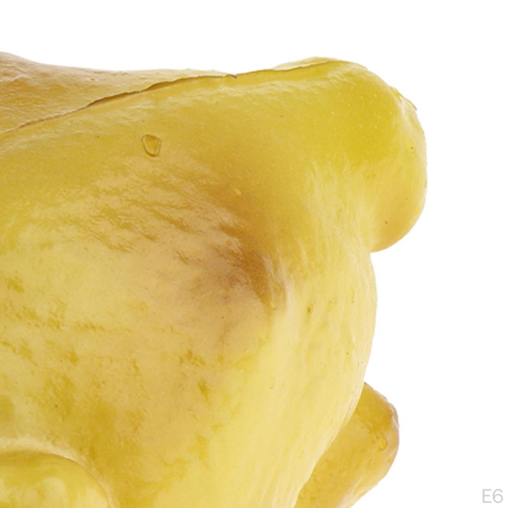 Искусственный реквизит для фотосъемки - Жареная утка, как описано